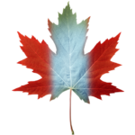 Transparent Canadian Maple Leaf Image representing immigration in Canada